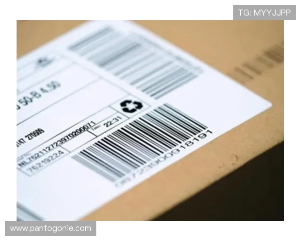 如何顺利完成J9九游真人版会员注册流程指南