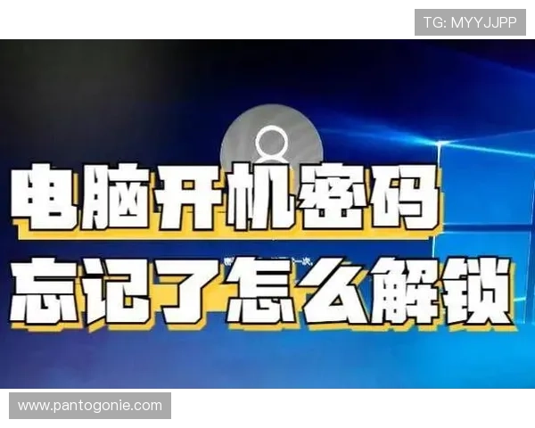 九游官网个人中心登录密码忘记了如何找回完整操作流程与安全验证技巧 九游官网个人中心登录密码忘记了如何找回完整操作流程与安全验证技巧