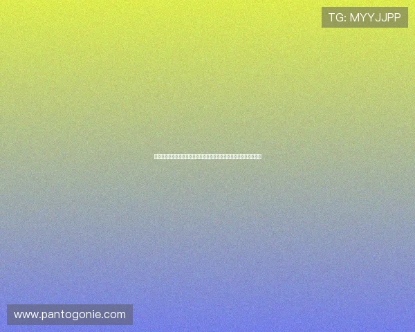 巴拉圭队在世界杯澳大利亚队赛前发布会上的最新动态与教练团队分析 巴拉圭队在世界杯澳大利亚队赛前发布会上的最新动态与教练团队分析
