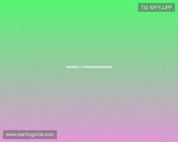 上海亿胜体育分析2026世界杯赛场上的战术变化与球队表现趋势